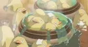 ムッチーニの画像