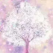mash-k☆の画像