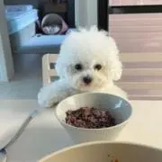 ⭐️断捨離中⭐️の画像
