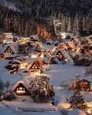 kona'*:の画像