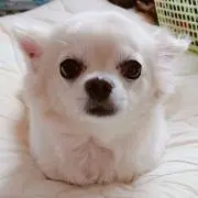 やまちゃん(プロフィール要確認)の画像