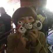 きのこの画像