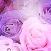 ami☆の画像