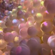 みーの画像