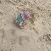 志の画像