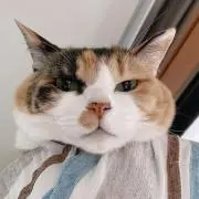ヒバナ