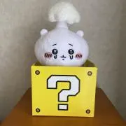 ちょこ狸の画像