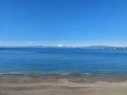 はみの画像