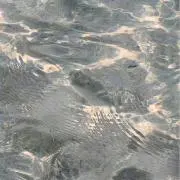 xxxの画像
