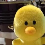 PIYOZOの画像