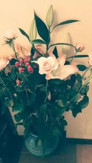 rikaの画像