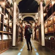 Ｙの画像