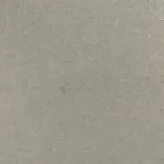 ココヤシ