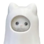 るりの画像