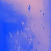 tdkk_の画像