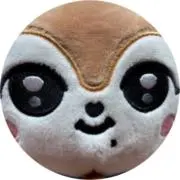りすの実の画像