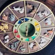 さちの画像