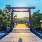ノブモトの画像