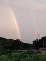 Soraの画像