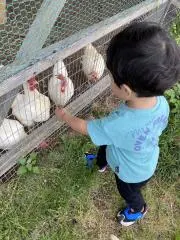 あんしん屋☆の画像