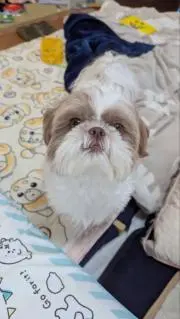 向日葵ママの画像