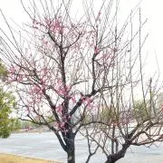 まきおの画像