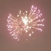 ココ