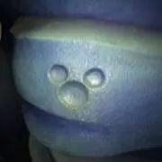 paraparattiの画像