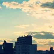 はくさい
