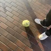 もの画像