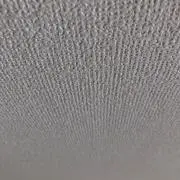 クソマムシ
