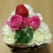 さくらの画像