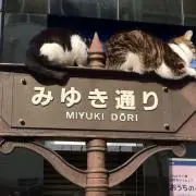 wkwkwk33の画像