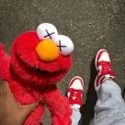 ちこちゃんの画像