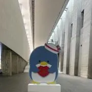 ゆの画像