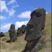 パパイヤの画像