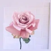 y ♡の画像