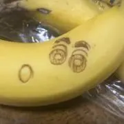 みっちーの画像