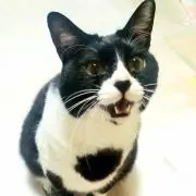 ngの画像