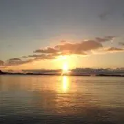 えるしゃ