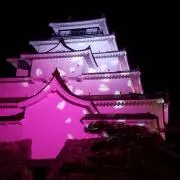 サトシの画像
