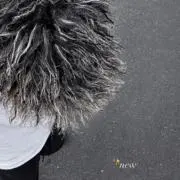 sの画像