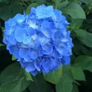 Novemberの画像
