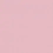 pinkの画像