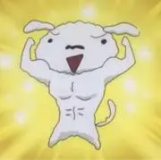 maruco