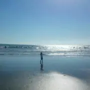 はなたか