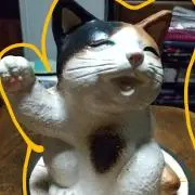 マオみーの画像
