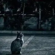 オレオの画像