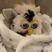 ☽⋰の画像
