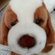 たの